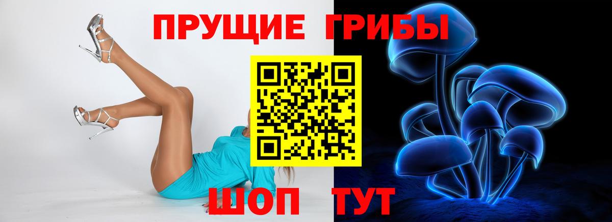 Приморско-Ахтарск  Псилоцибиновые грибы Cubensis  Вход с VPN 